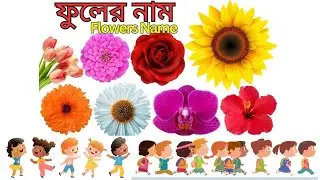 ফুলের নাম বাংলা এবং ইংরেজিতে।Flowers name with pictures Bengali and English।Bangla fuler nam।