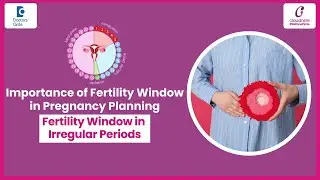When to Have Intercourse With Irregular Periods to Get Pregnant -  Dr. Sindhura B | Doctors' Circle
