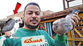 مسكت فرد حمام😱 والزغاليل دى للبيع🔥ونورنى الشباب العسل دول❤️✅