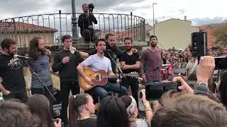 La M.O.D.A., “Campo amarillo”, Hontoria del Pinar (Burgos), 14-4-2019