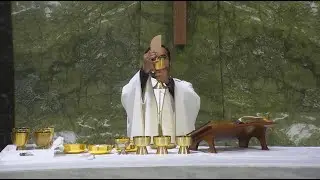 January 11, 2026 - 6:00 Life Teen Mass - The Baptism of the Lord - Father Jince - Pt1