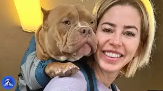 She Fostered A Shelter Dog During Heartbreak, And He Quietly Changed Everything