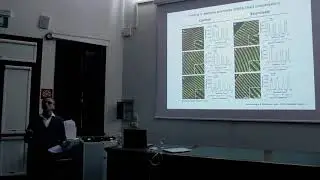 Feliciano Protasi - University G. D'Annunzio of Chieti