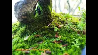 Costellazioni - Poco Ma Fede