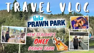 We Tried Prawn Fishing at NZ&rsquo;s Only Prawn Farm! Huka Prawn Park in Taupo How Many Did We Catch?