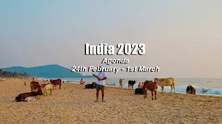 Agonda, Goa // India Travel Vlog 2023