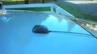 How to install satelite radio Pontiac G5/Pursuit/Cobalt pt1