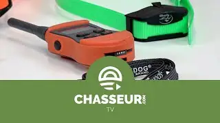 Colliers SportDOG SportTrainer - Tuto Chasseur.com
