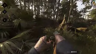 Hunt Showdown 2025 Highlights