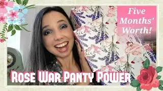 RWPP - Rose War Panty Power | Period Care, Panties & Beauty Subscription | FIVE MONTHS' WORTH!!