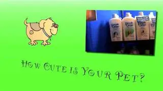 Cute Pet Gazette Open