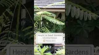 Add Height to Small Gardens