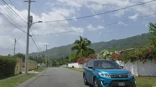 Driving through Hope Pastures | Jamaica