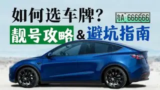 新车选号必看详细攻略！靓号指南 | 注意事项【友人朦】