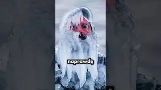 Życie W Ekstremalnie Niskiej Temperaturze!❄️❄️