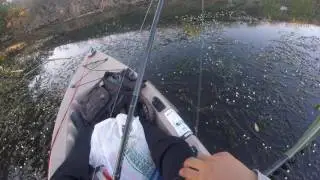 Delta Pitching for Large Mouth Bass July 2017