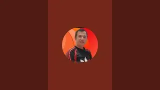 Nelson Vlogs