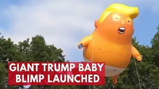 Giant Donald Trump Baby Blimp Takes To The Skies In London