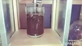 Cold Brew by Pause Café