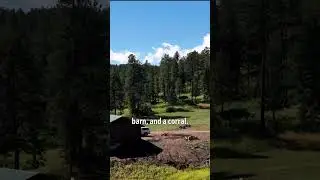 Liberty Ranch: Magnificent 7,500 sqft Custom Log Home for Sale in Colorado
