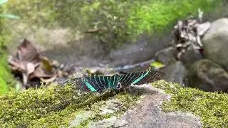 Tarapoto 2022 09