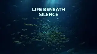 Large school of yellowtail fish swimming in deep blue ocean water with sandy seabed and stingray