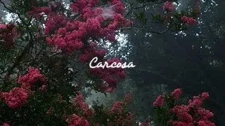 Drake x Jazz cartier x Travis scott type beat - 