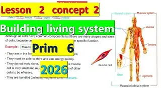 ساينس الصف السادس  Building Living System | Easy Explanation | Science Grade 6| 2026