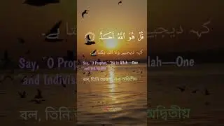 2023's Most Popular Islamic Quotes for Your WhatsApp Status| black screen status | #shorts #trending
