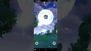 Catching shiny wooloo #pokemon #pokemongo