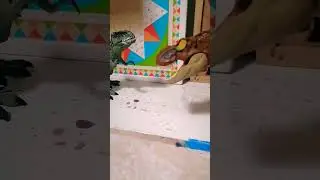 memes de dinosaurios #2