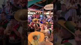 Br&auml;urosl Party! Octoberfest 2023 #2023 #2024 #bayern #bavaria #munich #Octoberfest #bavariagermany