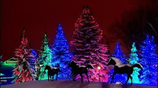 Spruce Meadows Christmas Lights, Calgary Canada
