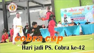 COBRA CUP TAPAK SUCI GOR NYALARAN PAMEKASAN