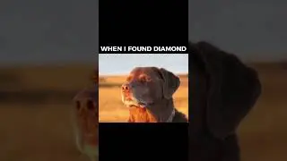 POV : WHEN I FOUND DIAMOND ( I FORGOT TO USE MY GLASSES )#minecraft #memes #bruhmoment