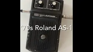 '70s Roland AS-1 Sustainer