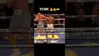 Брат за брата 🥊🇺🇦 #бокс #усик #кличко #джошуа #ринг #нокаут #usyk #boxing #спорт