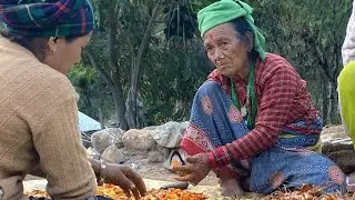 Simple rural Nepali life: early mornings, farm work, warm hearts, peaceful evenings,and pure harmony