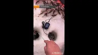 Рыбалка на мормышинг река Битца, общение