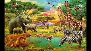 A zebra who discovers his unique talents: story number 12#EducationalStories, #StoryTime