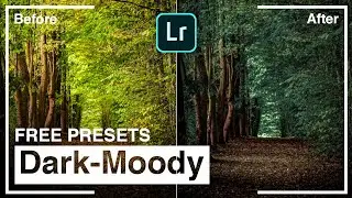 Lightroom mobile presets free dng | dark moody lightroom tutorial