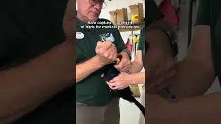 What&rsquo;s a day in the life of a Bird Keeper, you ask? 🤔 🦜