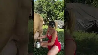 Je vous dis que la cannelle a pas mal de lait 🥰🥰