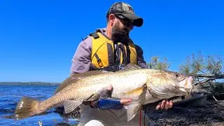 MONSTER MULLOWAY. Kayak Fishing for BIG fish 🐟 