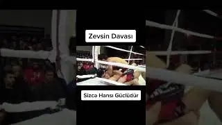 #zevs