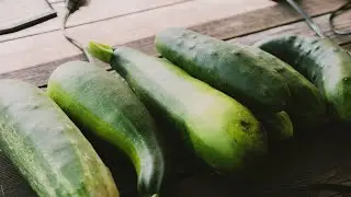 Dad's Garden