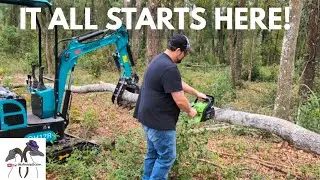 Chinese Mini Excavator Clearing Land | Homestead Prep