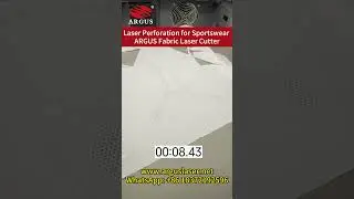 Laser Perforation for Sportswear ARGUS Fabric Laser Cutter