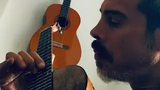 Baritone Ukulele Film Music Roy Howard Ukulele player Composer