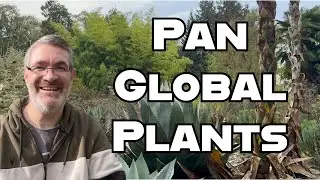 I Spent Hours at This Incredible Plant Nursery - Here's What I Got